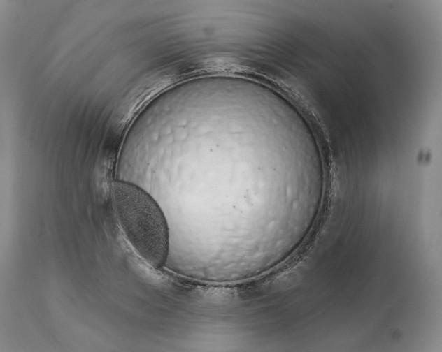 X0000114030889200910231857