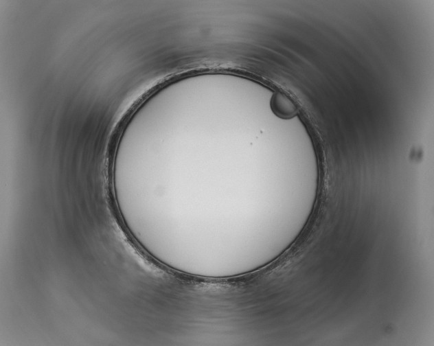 X0000114030894200910231856