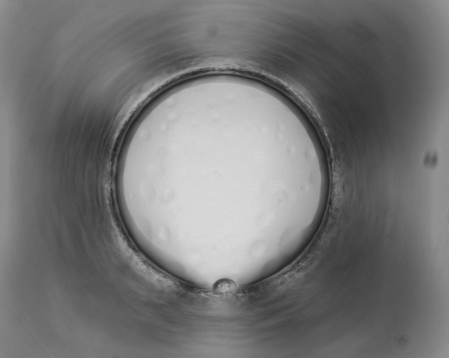 X0000114030895200910231856