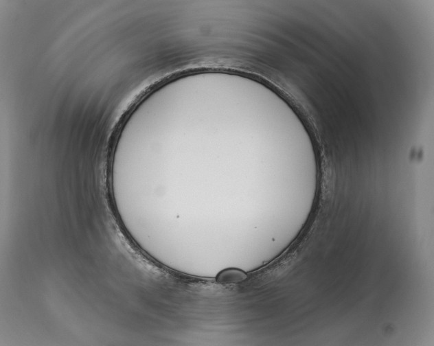 X0000114030896200910231856