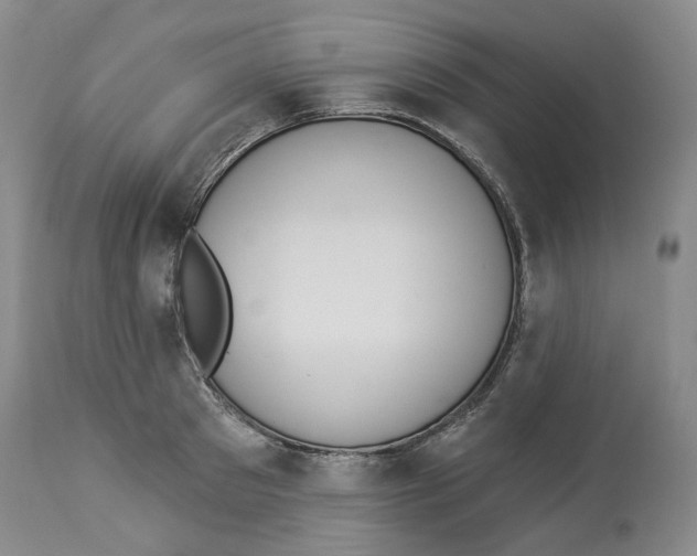 X0000114030897200910231856