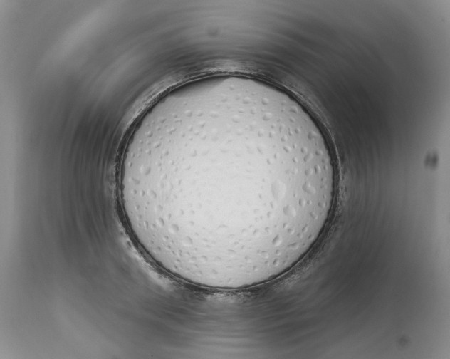 X0000114030898200910231856