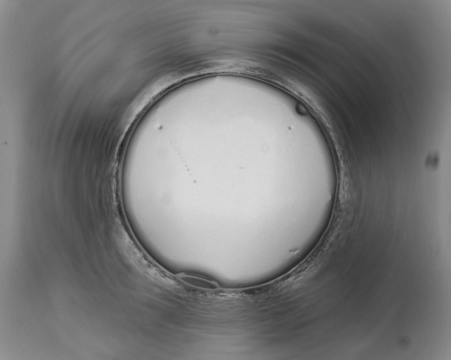 X0000114030899200910231856