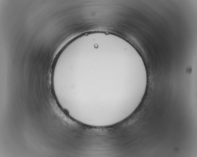 X0000114030900200910231856