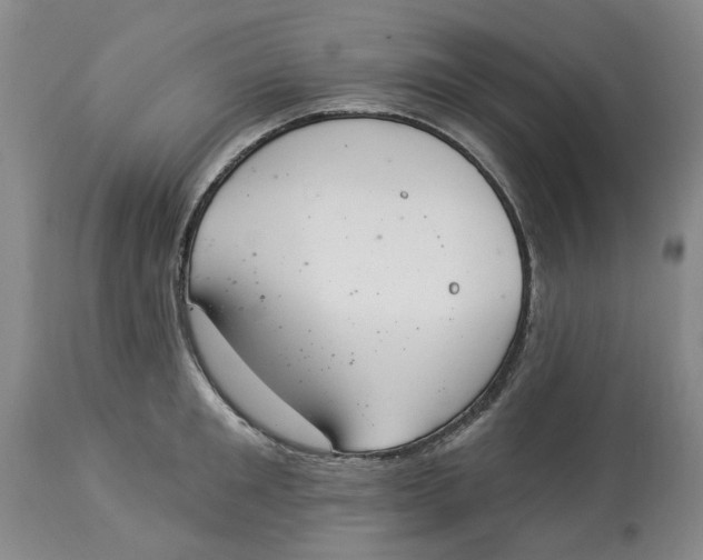 X0000114030901200910231856