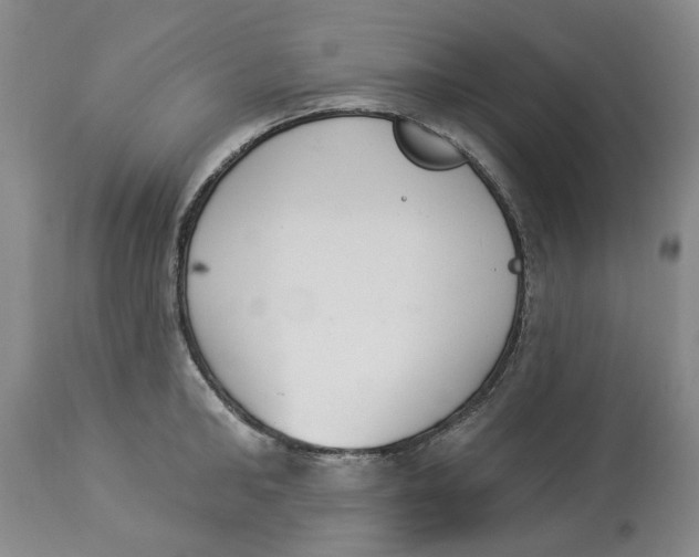 X0000114030902200910231856