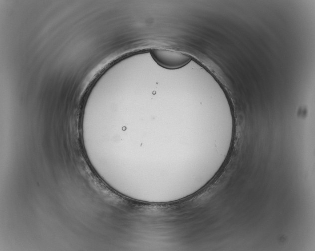 X0000114030904200910231856