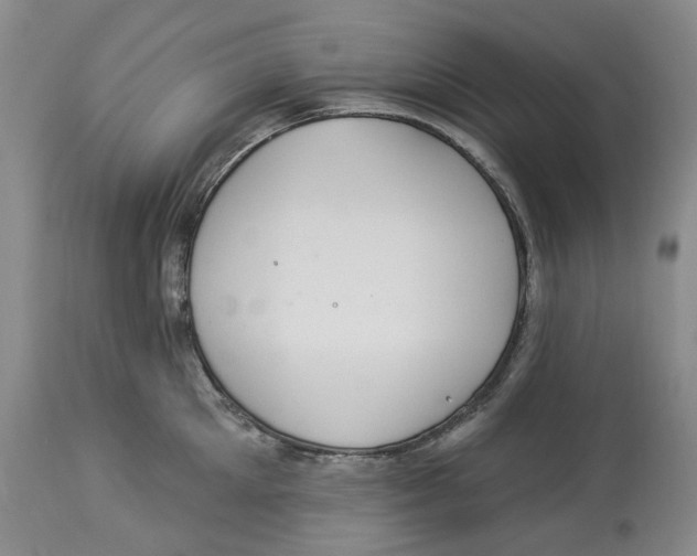 X0000114030905200910231856