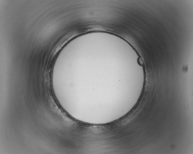 X0000114030906200910231856