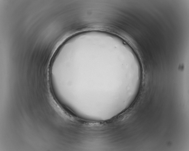 X0000114030907200910231856