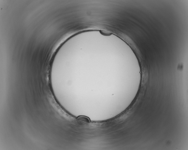 X0000114030908200910231856