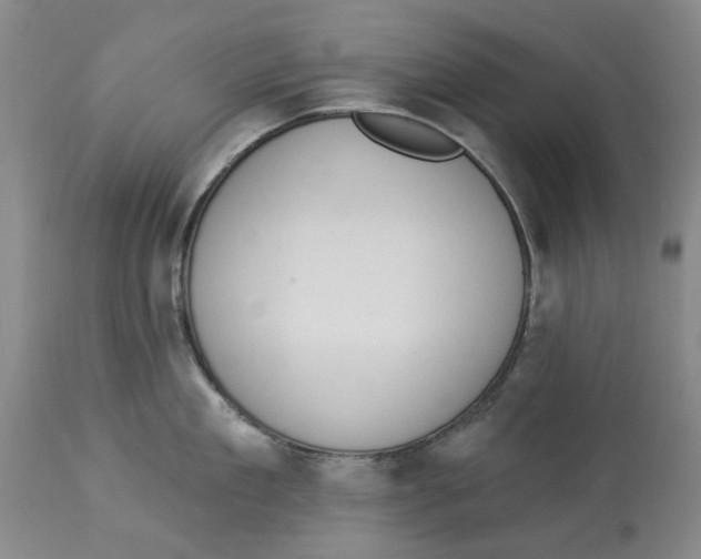 X0000114030909200910231856