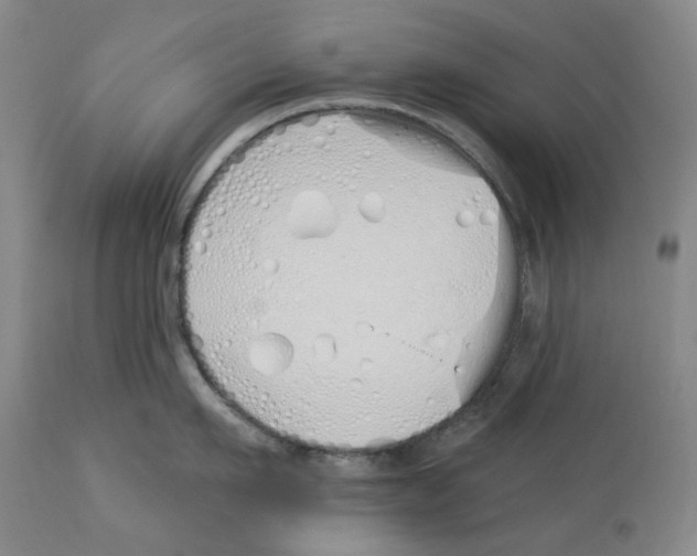 X0000114030911200910231856