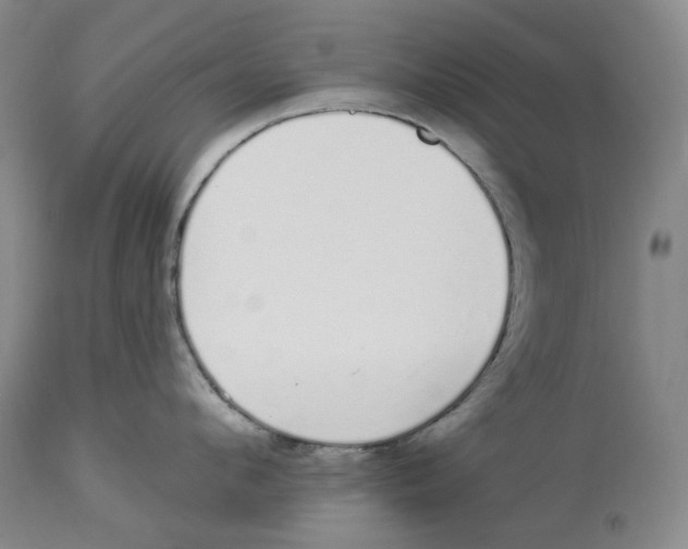 X0000114030912200910231856