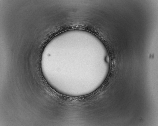 X0000114030913200910231856