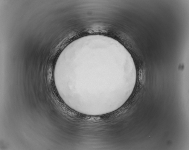 X0000114030915200910231856