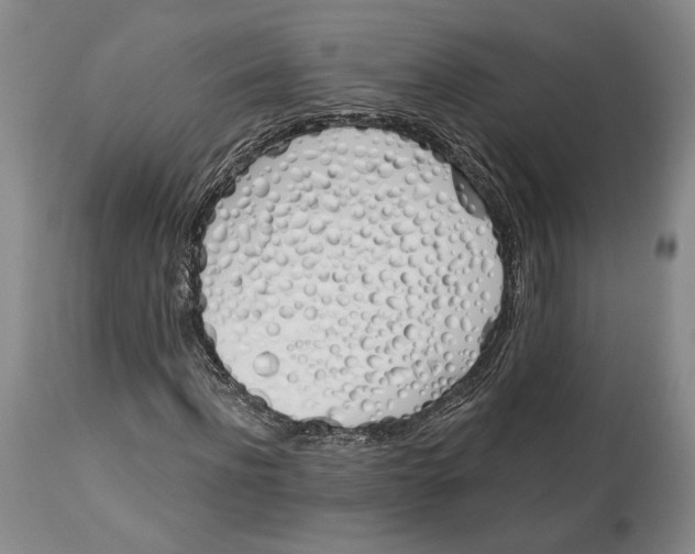 X0000114030916200910231856