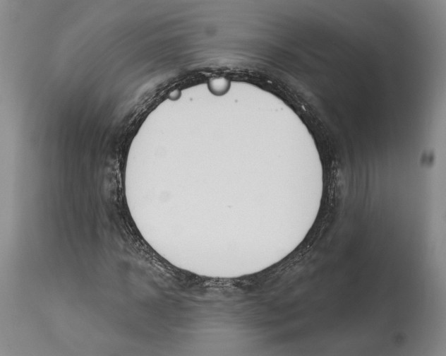 X0000114030918200910231856