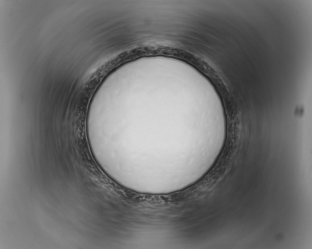 X0000114030919200910231856