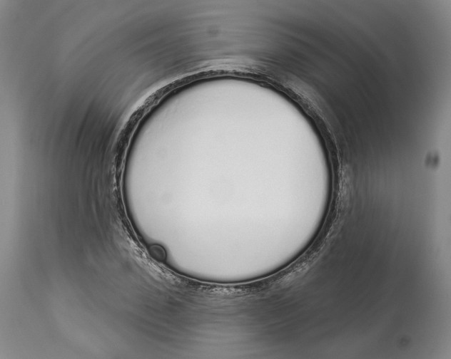 X0000114030923200910231856