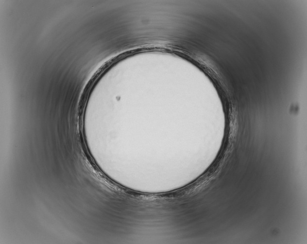 X0000114030924200910231856