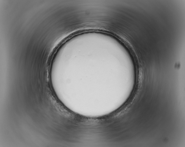 X0000114030925200910231856