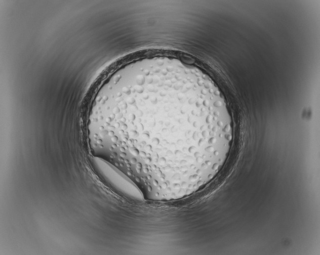 X0000114030926200910231856