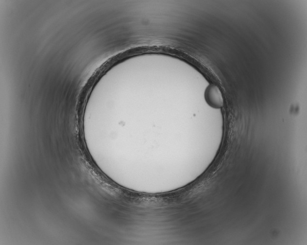 X0000114030927200910231856