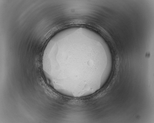 X0000114030929200910231856