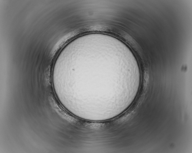 X0000114030930200910231856