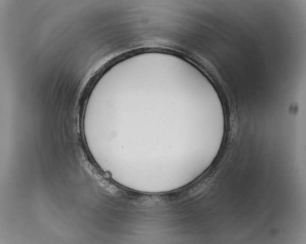 X0000114030931200910231856