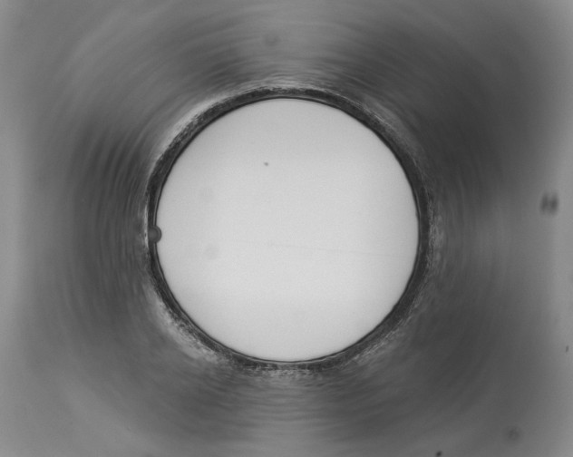 X0000114030934200910231856