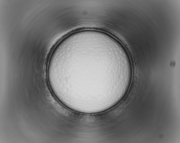 X0000114030935200910231856