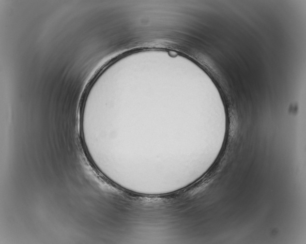 X0000114030940200910231856