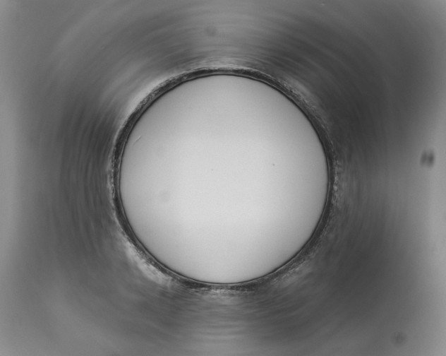 X0000114030942200910231856