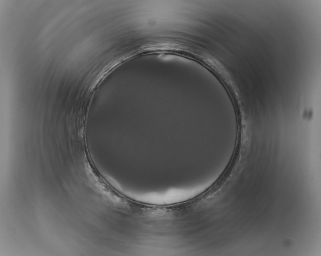 X0000114030945200910231856