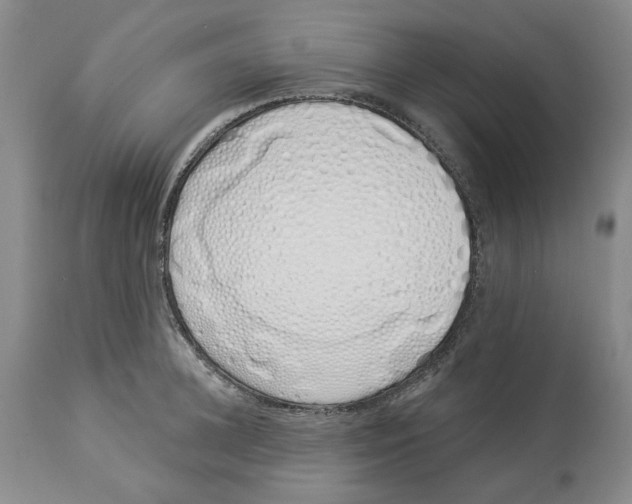 X0000114030948200910231856