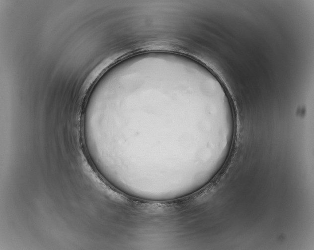 X0000114030949200910231856