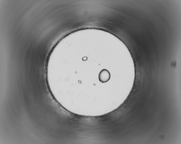 X0000114030950200910231856