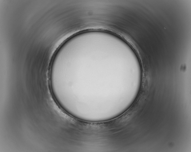 X0000114030951200910231856