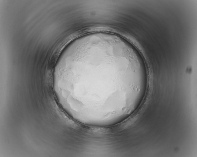 X0000114030953200910231856