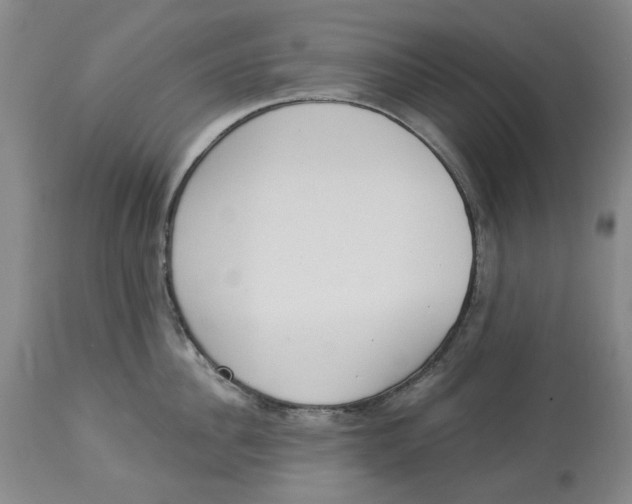 X0000114030956200910231856