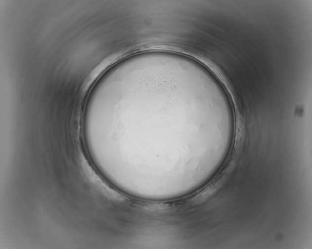 X0000114030957200910231856