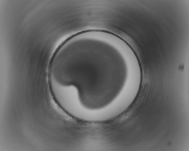 X0000114030958200910231856