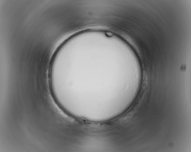 X0000114030959200910231856