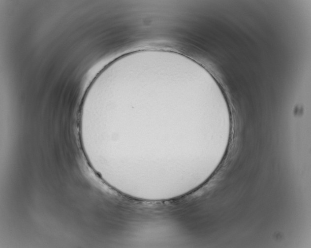 X0000114030960200910231856