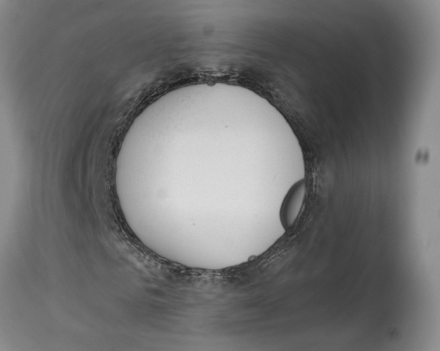 X0000114030961200910231856