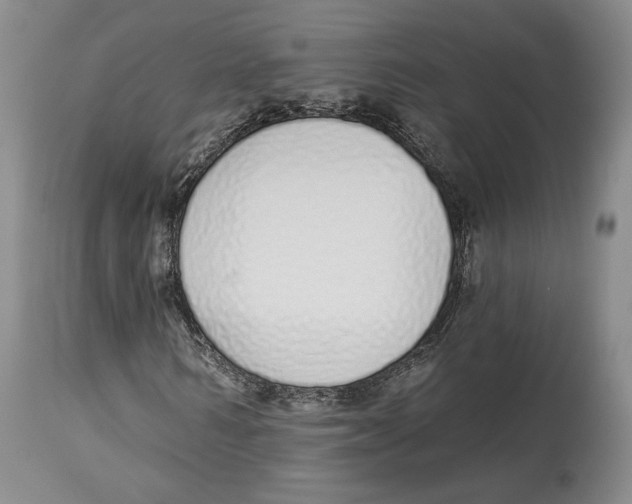 X0000114030962200910231856