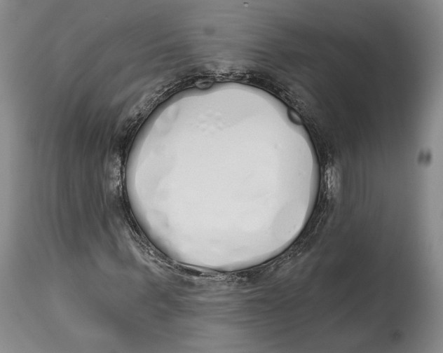 X0000114030963200910231855