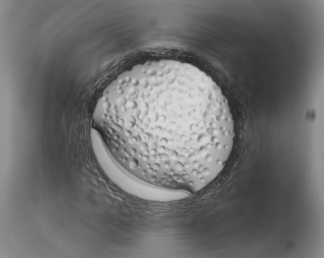 X0000114030965200910231855